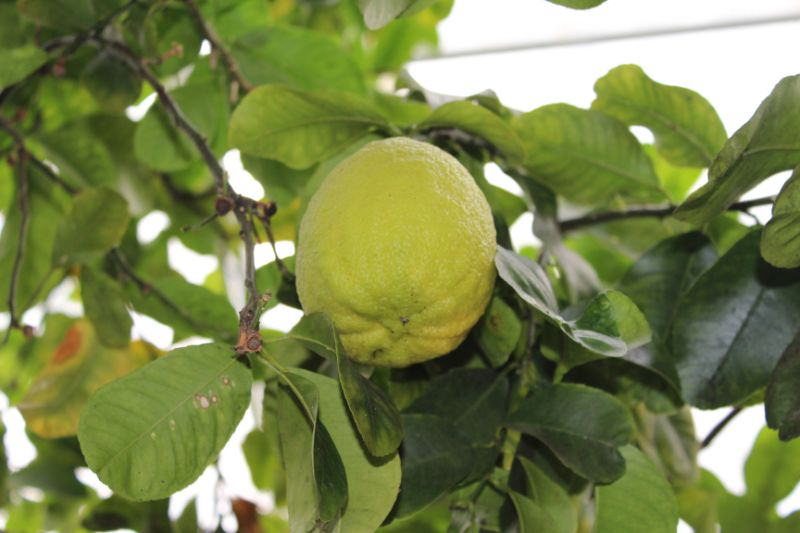 IMG_1111