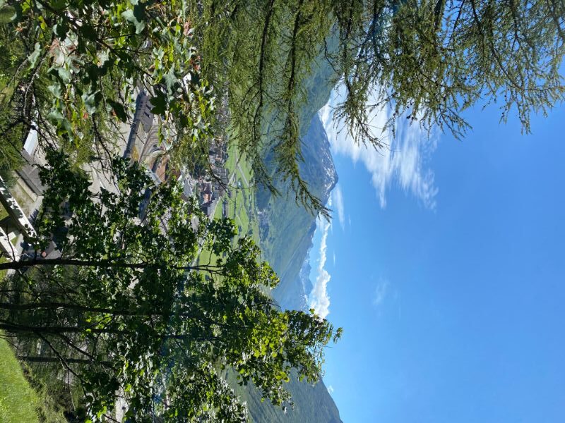 Foto 04.07.20, 16 41 08