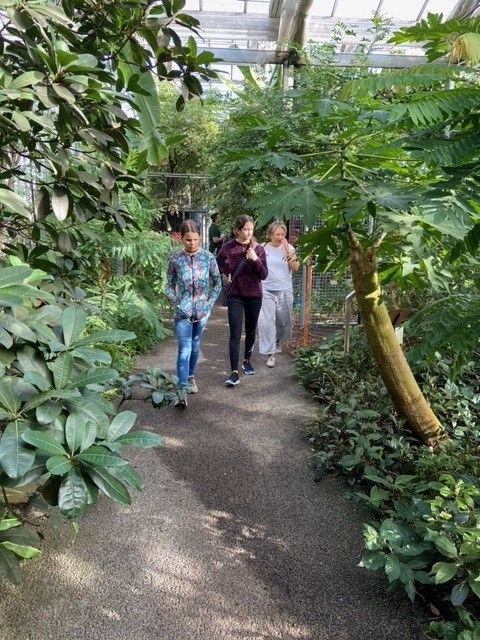 MPS auf Wanderung