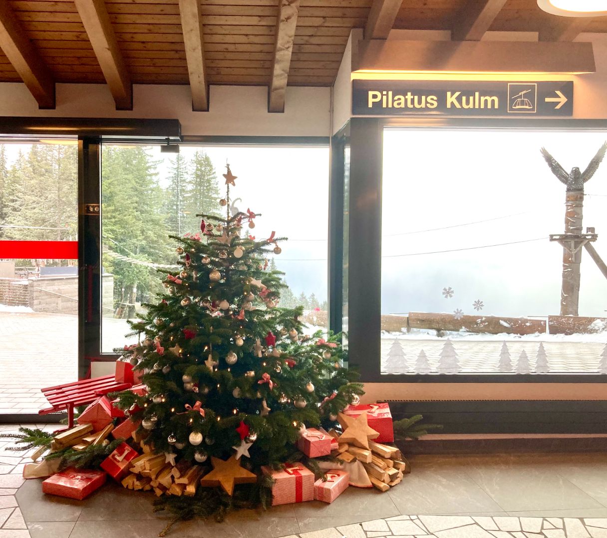 Foto 17.11.23, 14 59 42