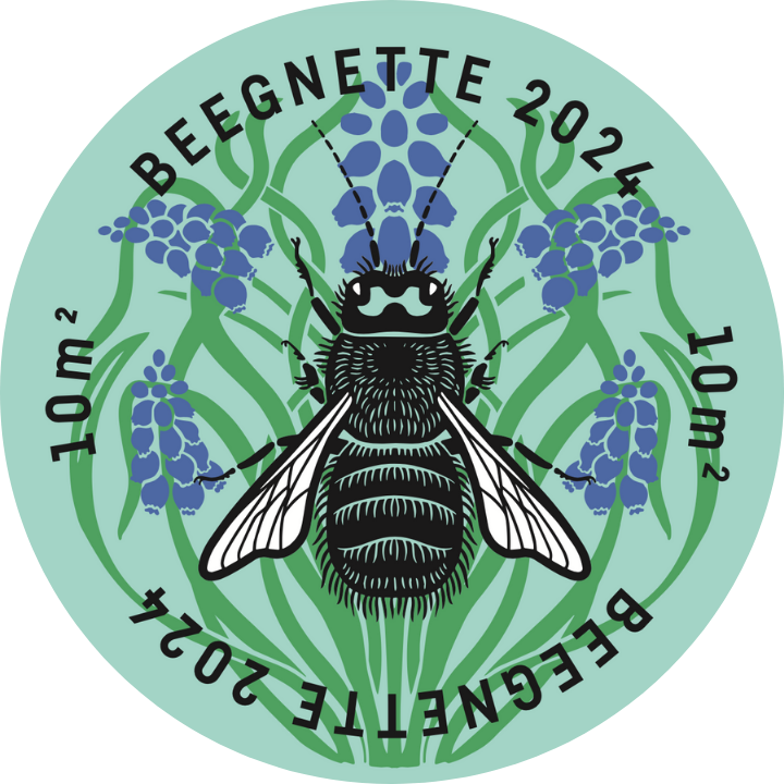 beegnette_2024