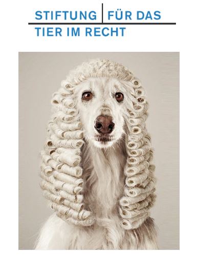 tier_im_recht