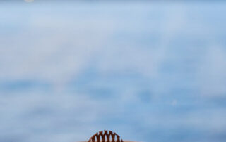 Corporateevent; Moneypenny; Vierwaldstättersee; 25025