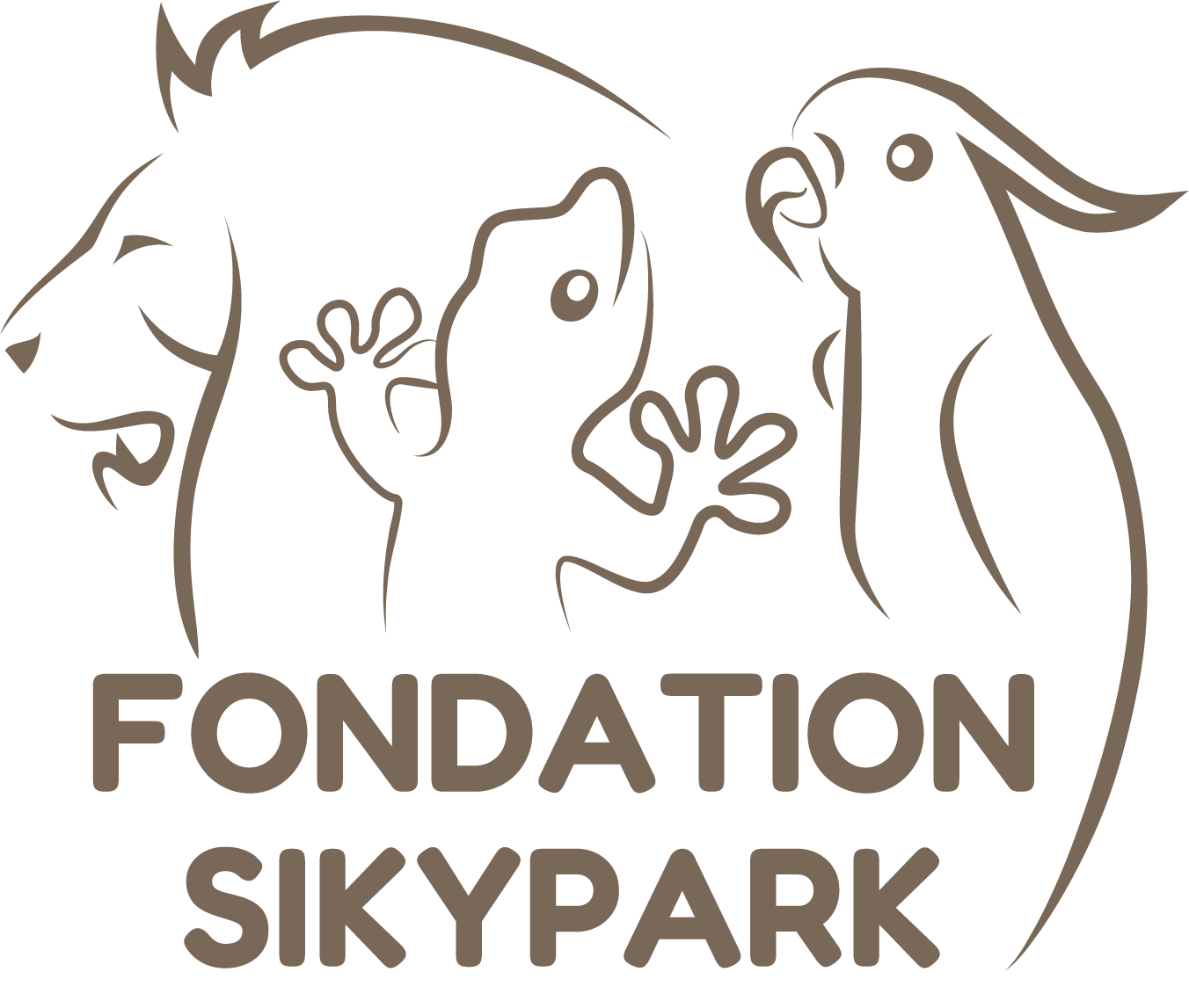 Fondation-Sikypark