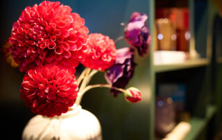 038_Moneypenny_wimanphotography_047A8257