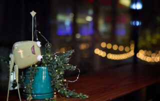 057_Moneypenny_wimanphotography_047A8331